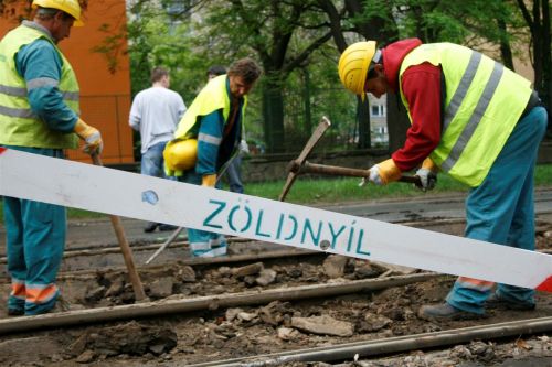 zoldnyil_elso3.jpg