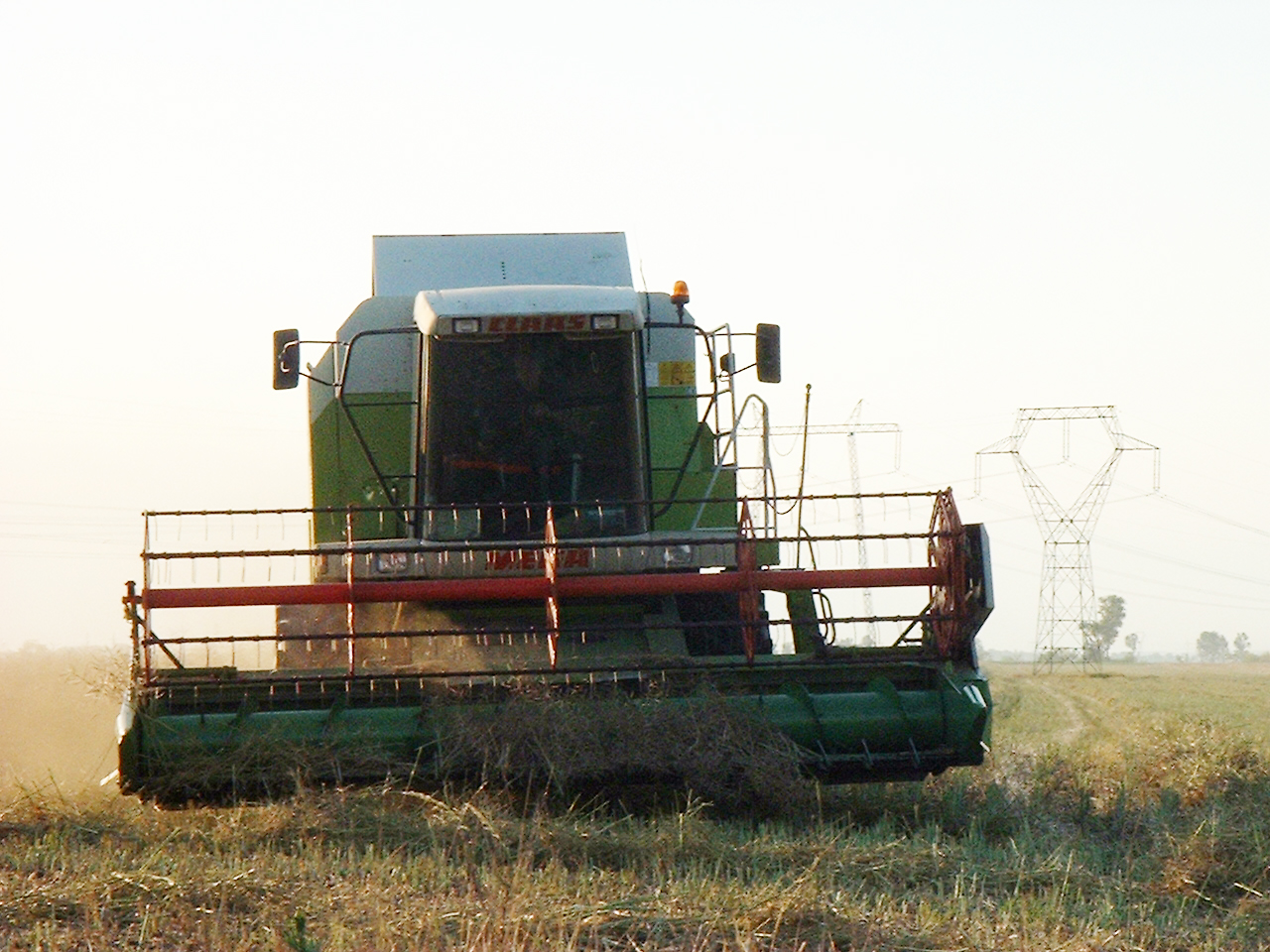 aratas3.jpg