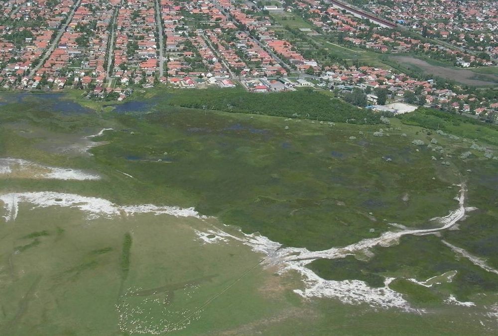 kornyezetpalyazat.jpg