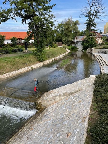 medertisztítás