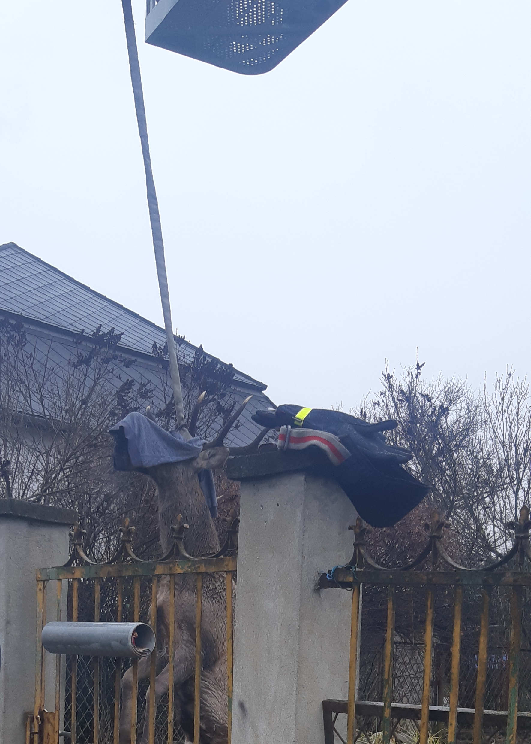 ózd szarvasmentés