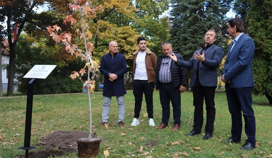 fotó: Mocsári László