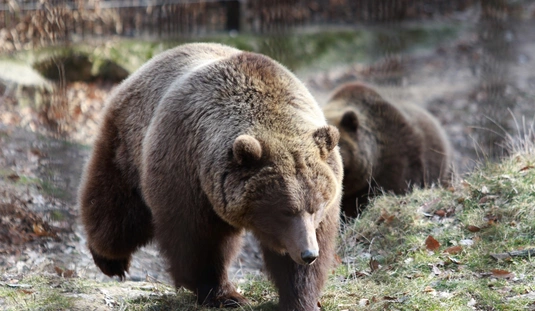 fotó: Juhász Ákos