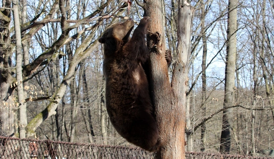 fotó: Juhász Ákos