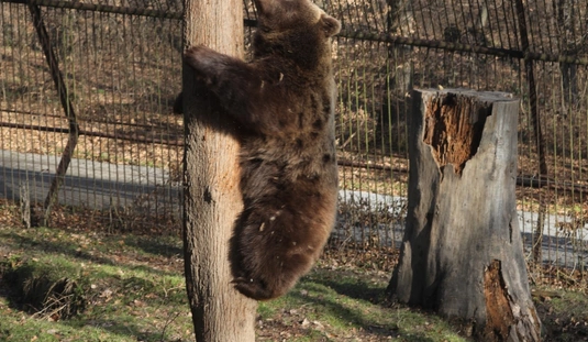 fotó: Juhász Ákos