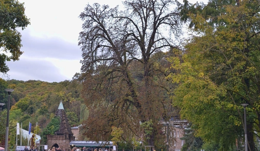 Fotók: Osztie Tibor