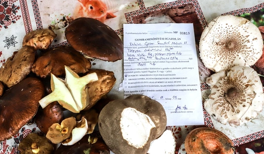 fotó: Mocsári László