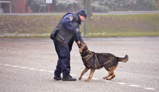 Fotók: Osztie Tibor
