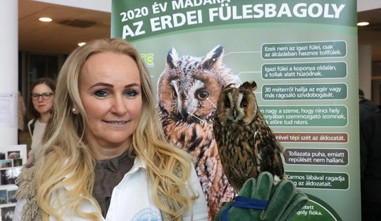 VII. Bagolyles az egyetemen 