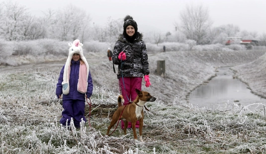 Kutyaséta télen is 
