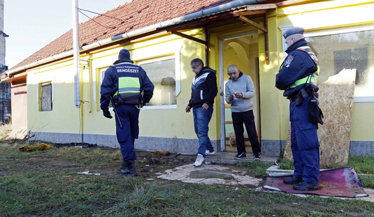 hajlektalanok 