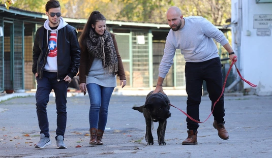 150. nyílt nap a Miskolci Állategészségügyi Telepen 
