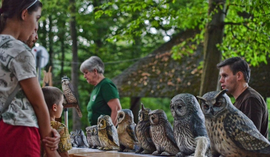 Állatkertek éjszakája
