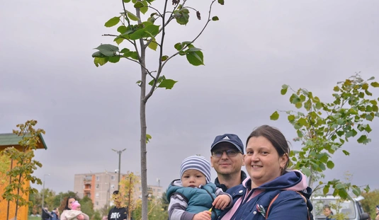 Újszülöttek 13. parkja