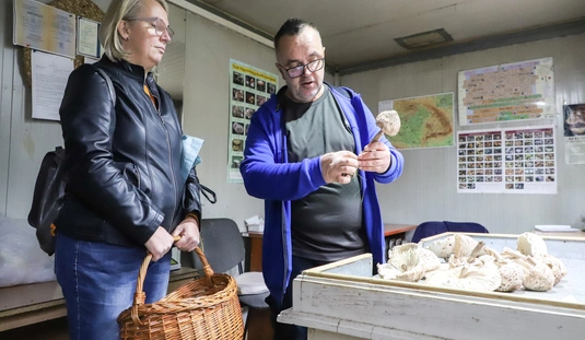 Gombavizsgáló a Búza téren