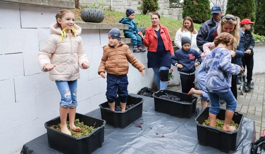 Szüreti felvonulás és Must Feszt II.