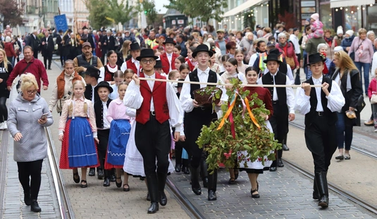 Szüreti felvonulás és Must Feszt I.