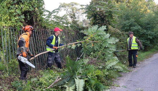 Takarítás a Vasgyári temető mellett