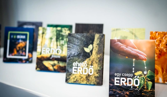 Egy csepp erdő könyvbemutató 