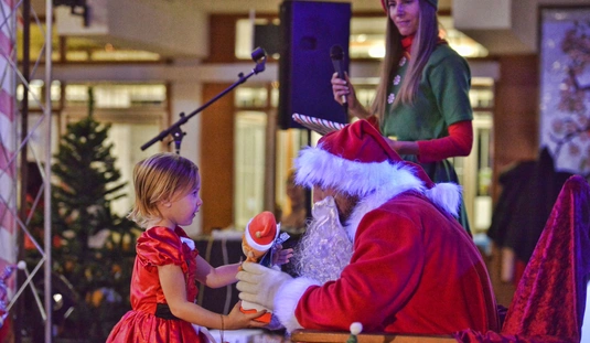 Garfield Alapítvány Mikulás- és gyermekműsora