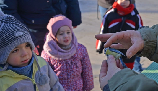 Ünnepi madárgyűrűzés