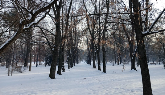 Varga Fanni - Havas Miskolc