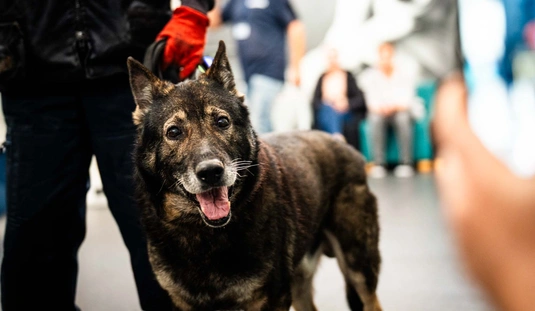 „ÁLLATBARÁT NYOMOZÓK” bűnmegelőzési vetélkedő