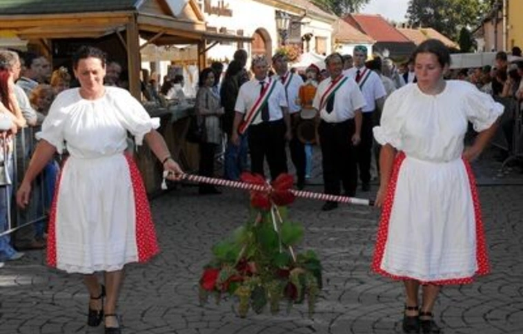 Évtizedes szüreti hagyományok Tokajban