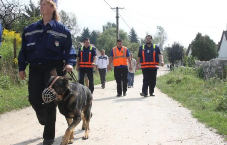 Újabb razzia Lyukóvölgyben