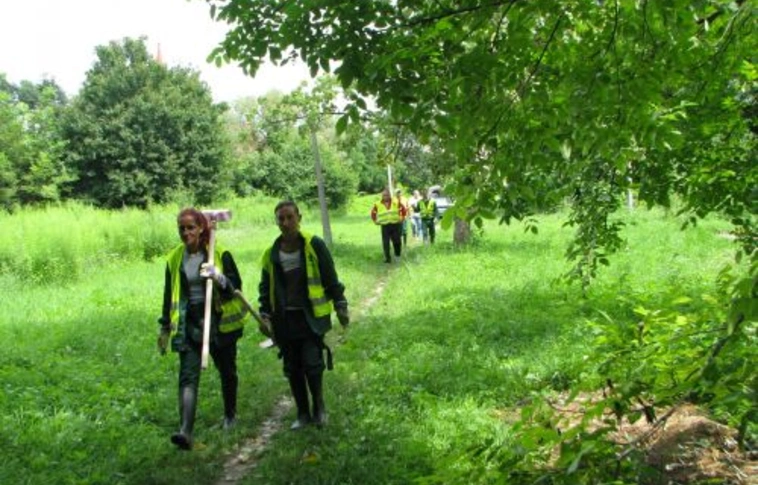 Közmunka-program a Nádasréten és a Hejő-pataknál