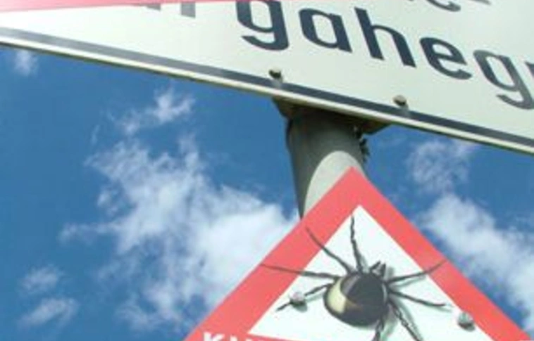 Tavasszal ébrednek a rovarok is