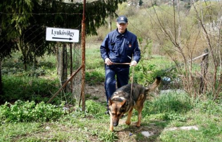 Folytatódik Lyukó visszafoglalása