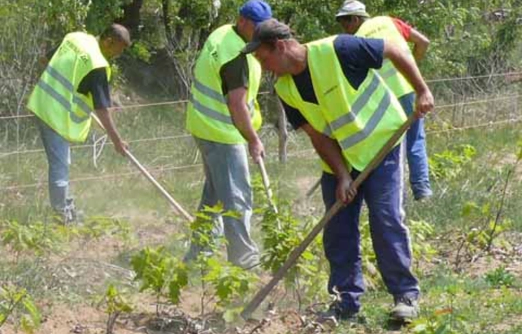 Közfoglalkoztatási terv 2010-re