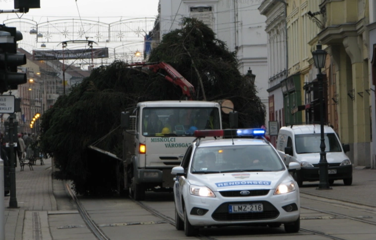 Érkeznek a karácsonyfák