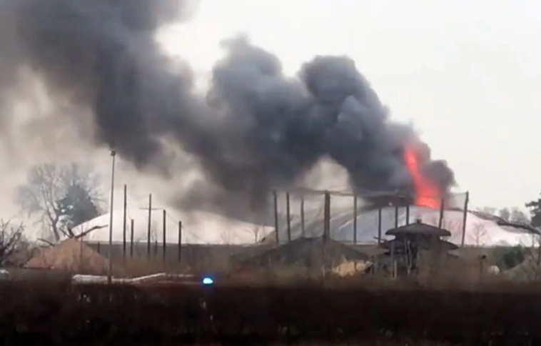 Békák, halak és kistestű madarak pusztultak el egy brit állatkerti tűzben