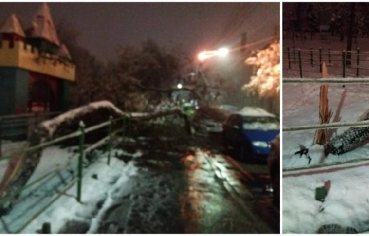 Fákat döntött az utakra, elektromos vezetékeket tépett le a szél Romániában