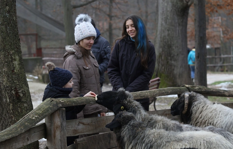 Állatok karácsonya a Miskolci Állatkertben (Képgalériával)