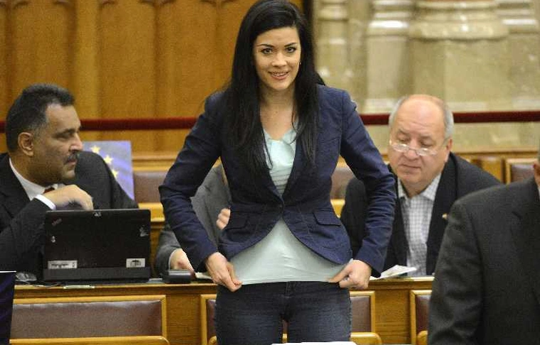 Dokumentumok bizonyítják, hogy Demeter Márta nem mondott igazat - megtekinthetők a HM honlapján