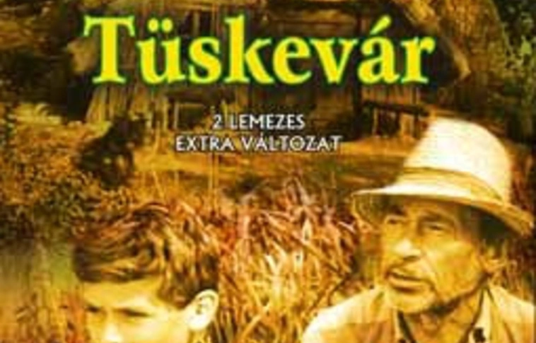 Az Avalon vette meg a Tüskevár kéziratát - játszópark épül Miskolctapolcán Fekete István hőseivel 