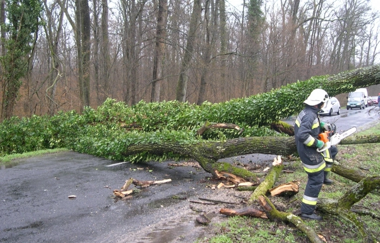 Durva károkat okozott a viharos szél Miskolcon, tucatnyi autó rongálódott meg