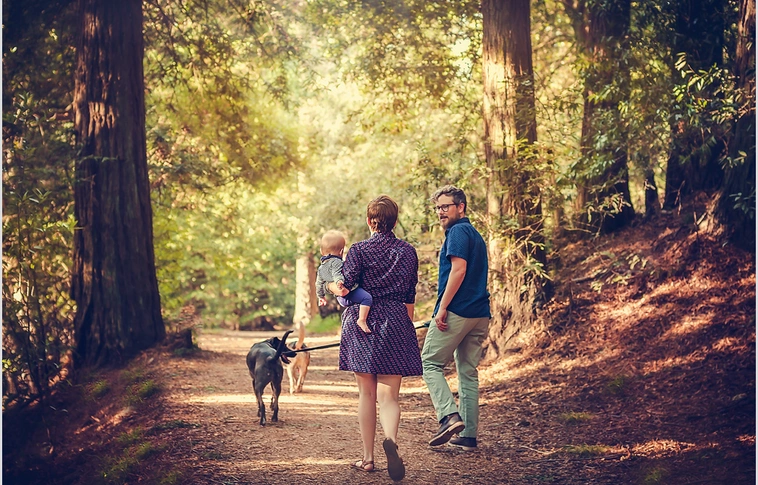 Így lehet kullancsmentes a nyár