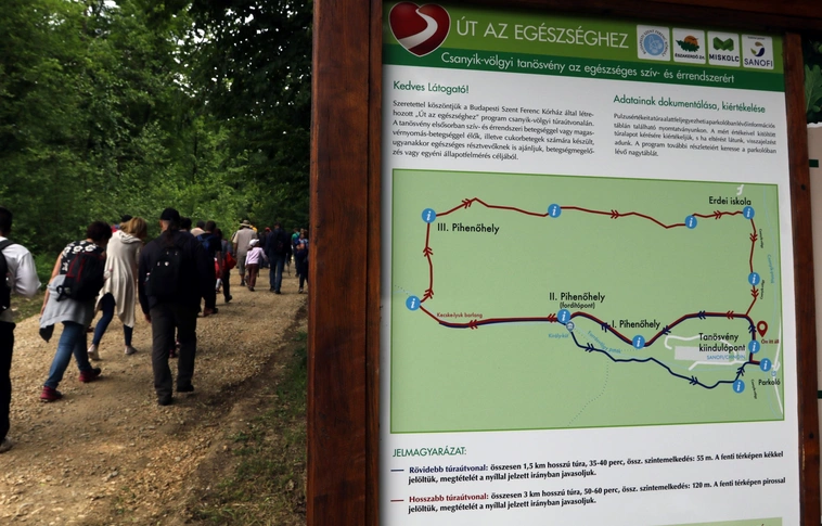 „Út Az Egészséghez” – Futónap a Csanyik-völgyben