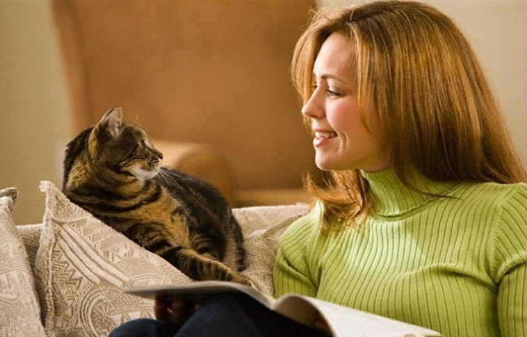 Az okosabb emberek többet kommunikálnak macskáikkal