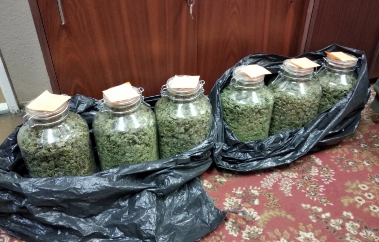 Négy kilogramm marihuánát akartak elrejteni