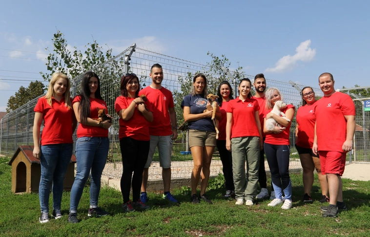 Önkéntesek dolgoztak a Miskolci Állatsegítő Alapítvány telephelyén