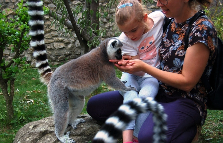 Állatkerti "Áloméj" Miskolcon is