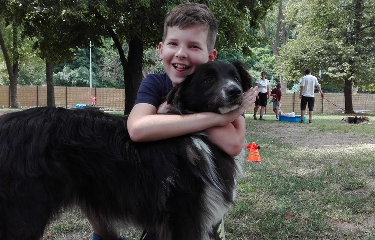 Játszva tanulás – Kutyakiképző napközi a Lovagi Tornák Terén