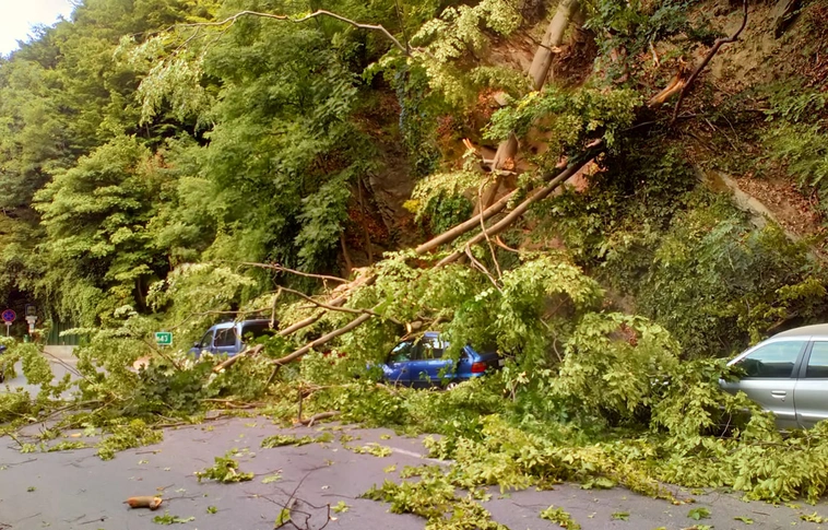 Nagyon durva: hatalmas fák zuhantak a parkoló autókra Lillafüreden!