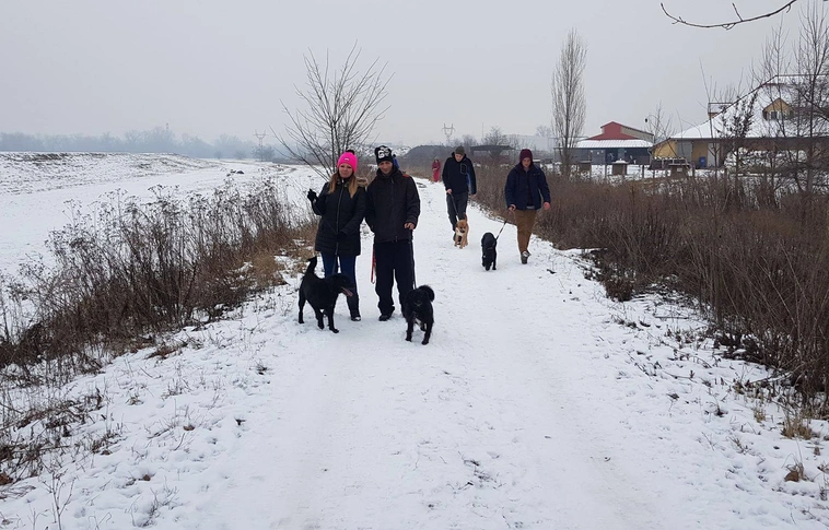 „Sokat segítene a kutyáknak, a gazdiknak és nekünk is, ha az állatok mikrochippel lennének ellátva”