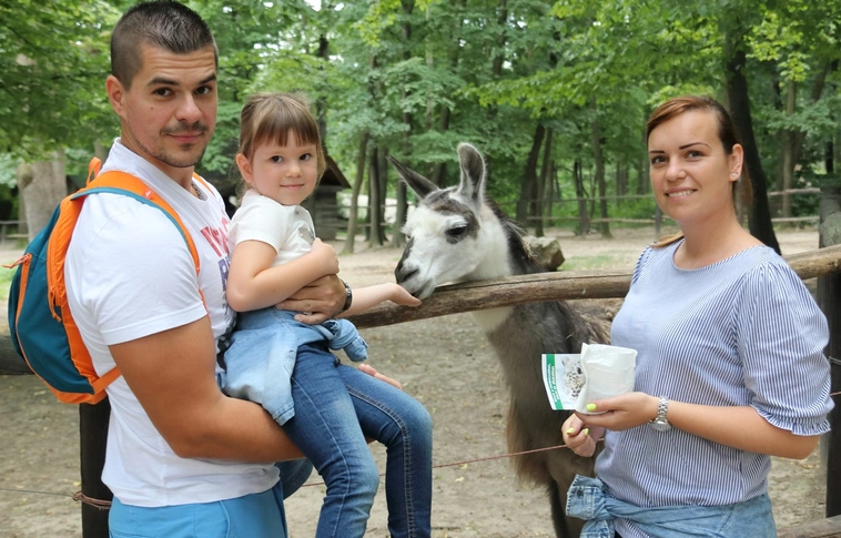 Majláth után, Hámor előtt, a Csanyik völgyében – nyári túra a miskolci állatkertben